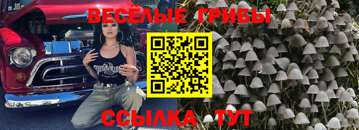 Серпухов  Псилоцибиновые грибы MAGIC MUSHROOMS  Галлюциногенные грибы Cubensis  Вход с VPN 